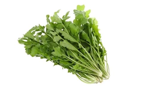 陈教授分享的这些营养食谱,您都记住了吗?