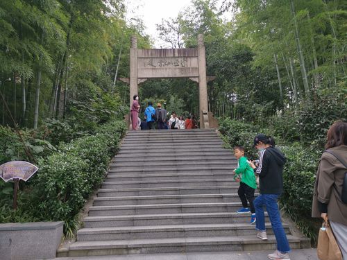 紫金山索道—索道入口