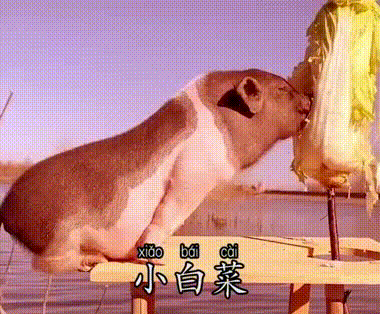 包小白菜我馋你了表情包小天鹅我馋你了表情包热门抖音表情包方法二:1