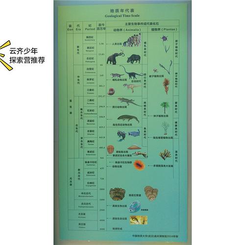 与恐龙同行探索远古地球