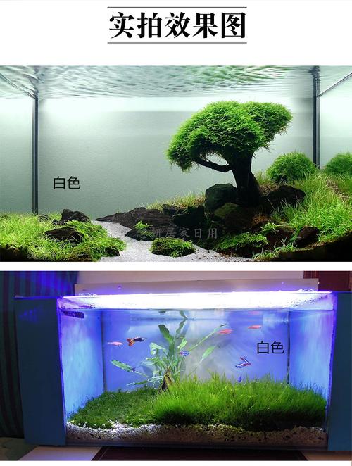 鱼缸背景画防水带胶纸鱼缸造景装饰水族箱背景图底部自粘贴纸壁纸 黑