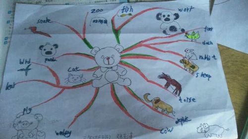 甘肃省靖远师范学校附属小学三年级一班同学们创编的动物思维导图和