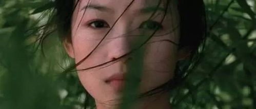 去竹林做个肺部spa,最美竹海,哪个离你家最近