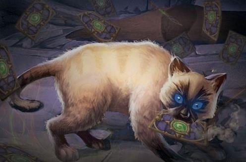 在魔兽里,比格沃斯先生是克尔苏加德的爱猫,如果你杀了他