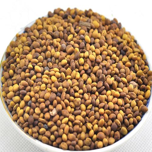 滋补精选汗谯堂新疆苦豆子中药材苦豆子苦马豆羊尿泡马皮泡新货500克