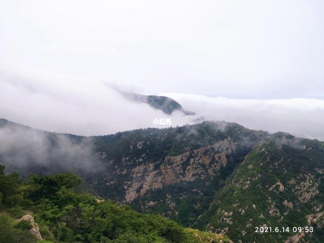 大连大黑山的雾_大黑山_登山_大连大黑山_出行_人文