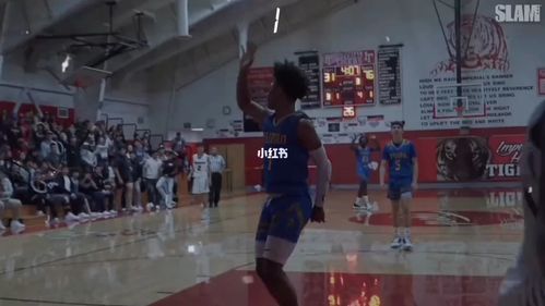 能突能投能灌篮 米奇威廉姆斯_nba怎么样_nba_体育赛事_篮球赛事