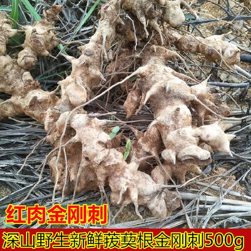 菝葜 优质深山挖的中药材金刚刺 金刚藤 500g 新鲜