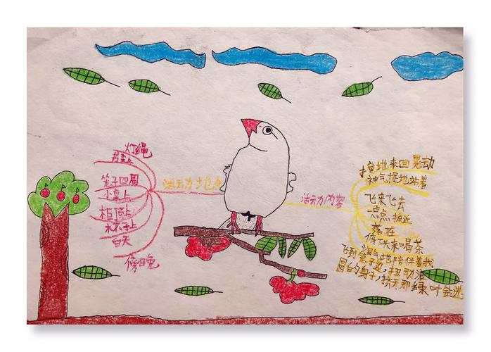 《珍珠鸟》之思维导图