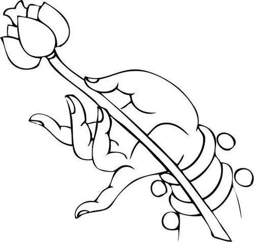 收藏白描佛手曼妙多姿