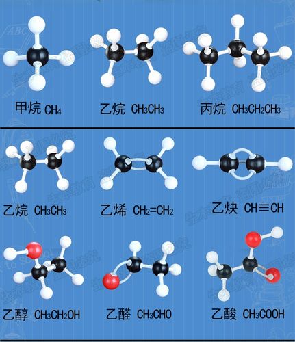 初中化学有机分子结构模型中学化学实验器材学生用球
