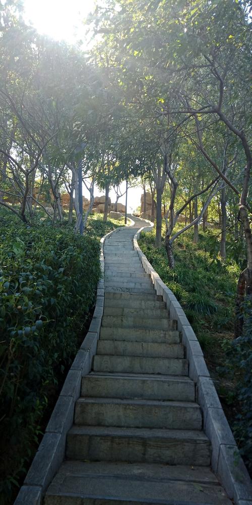 【南高基公园】石家庄南高基公园有什么好玩的_南高基