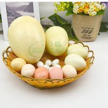 仿真鸡蛋鹅蛋鸭蛋鸵鸟蛋恐龙蛋鹌鹑蛋巨蛋假鸡蛋模型橱窗摄影道具