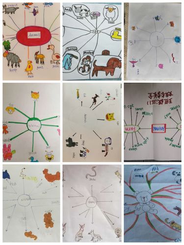 甘肃省靖远师范学校附属小学三年级一班同学们创编的动物思维导图和