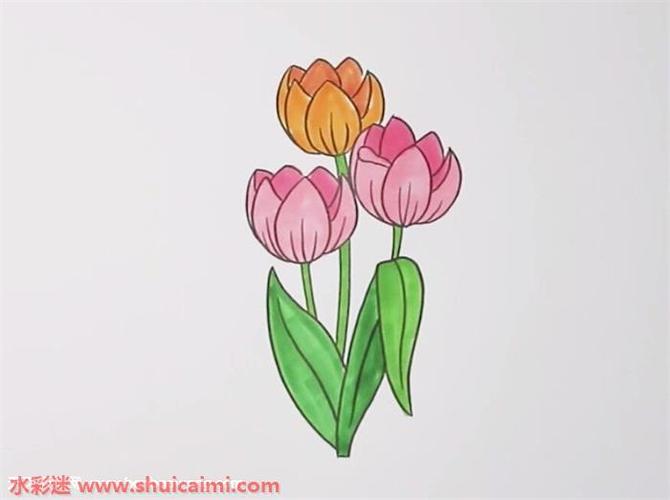 郁金香怎么画郁金香简笔画简单彩色