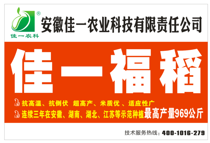 最新超级稻:佳一福稻969
