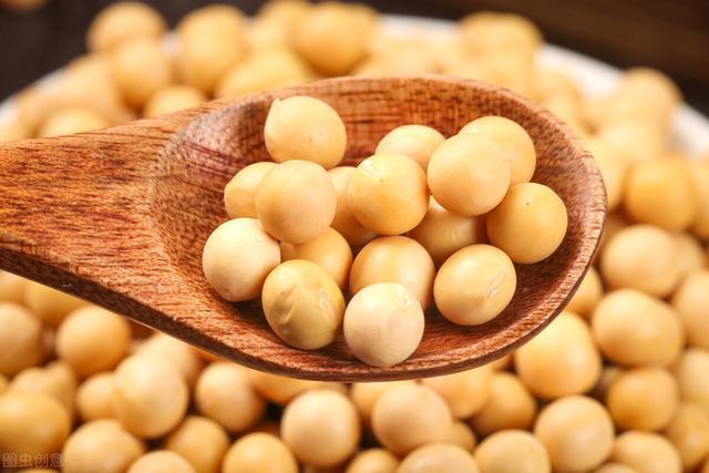 南华期货国产大豆农户挺价惜售