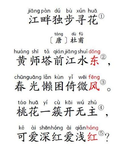 江畔独步寻花情景手抄报 手抄报图片大全