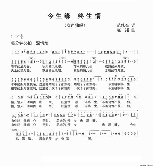 今生缘终生情