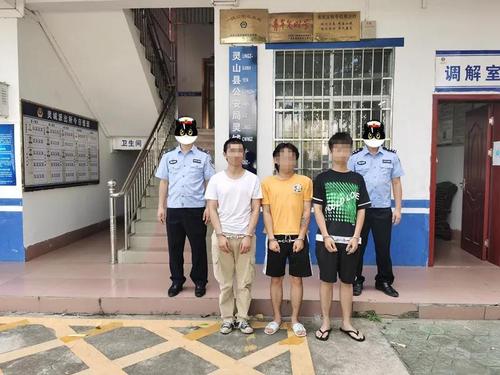 聚众斗殴!灵山警方迅速立案侦查,刑拘7人!