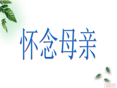 怀念母亲课堂业作本解答.ppt
