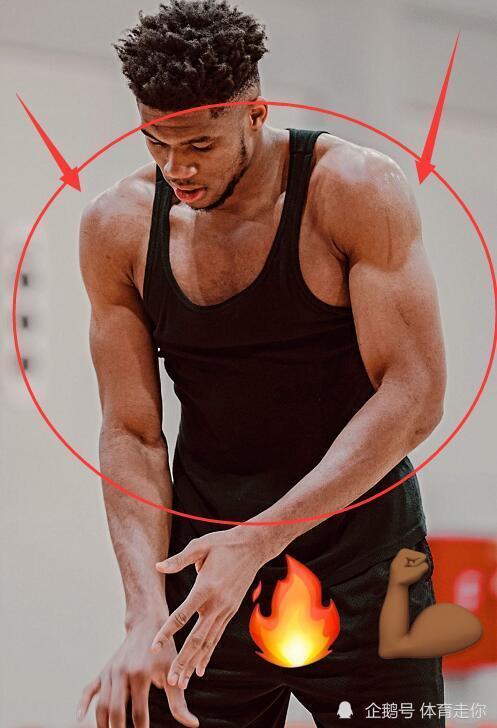 有种"恐怖"叫字母哥肌肉进化,最新训练照流出,这谁拦得住?