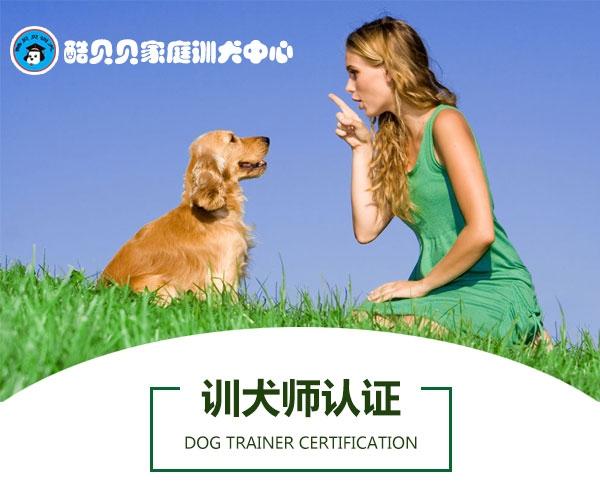 宠物狗行为训练酷贝贝家庭训犬中心图