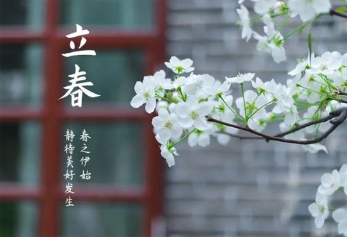 今日立春|寻找曲园的小温暖