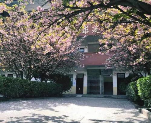 每天与校园朝夕相伴 这里的春天 是否走入你的眼帘 浸润了你的心 请