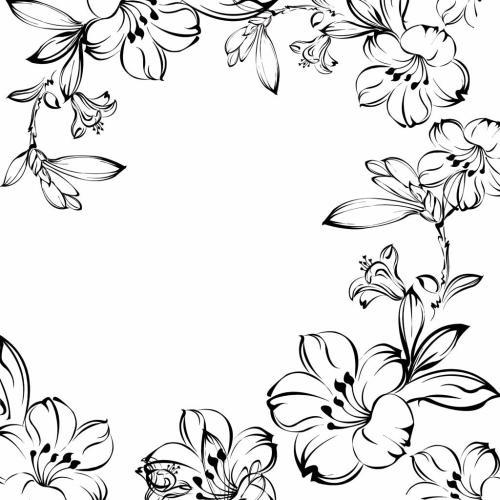 海棠花朵黑白装饰画