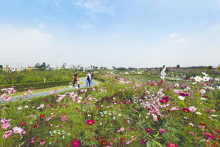 成都添游览美景 "七彩田野"正式对外开放(图)