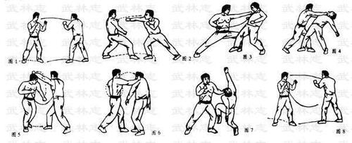 散打攻击18招图解 - 谷皮夫子 - 谷皮夫子的blog