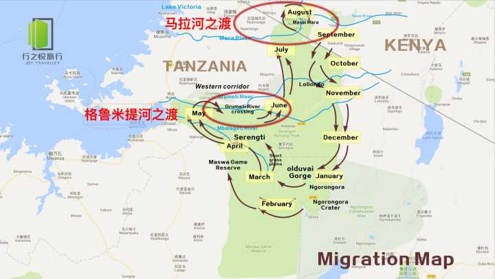 去非洲开开眼界想看角马大迁徙,是去肯尼亚看好,还是去坦桑尼亚看好?