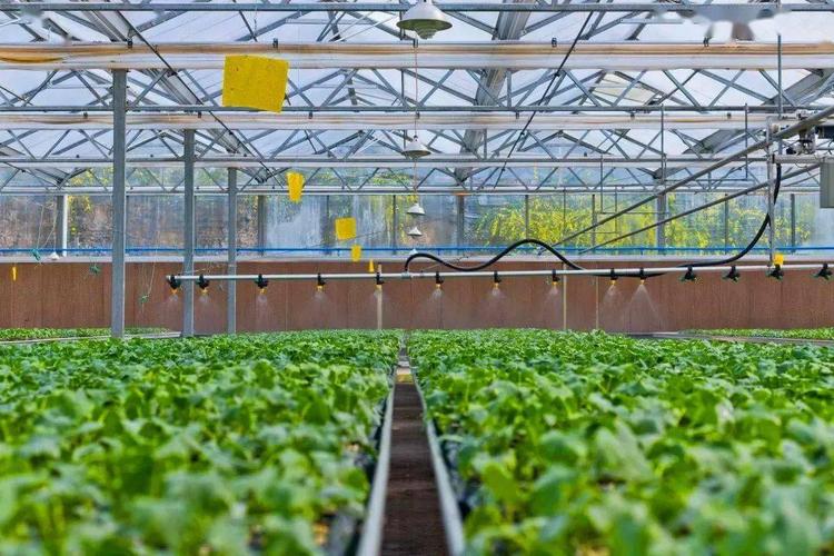 新起点 新征程 新作为丨万山:加快农业现代化 开辟乡村振兴新路径