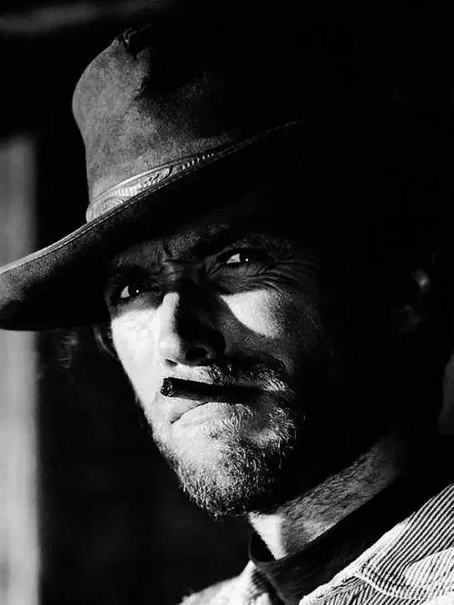 克林特·伊斯特伍德(clinteastwood)被称为是"城市牛仔",是美国影坛