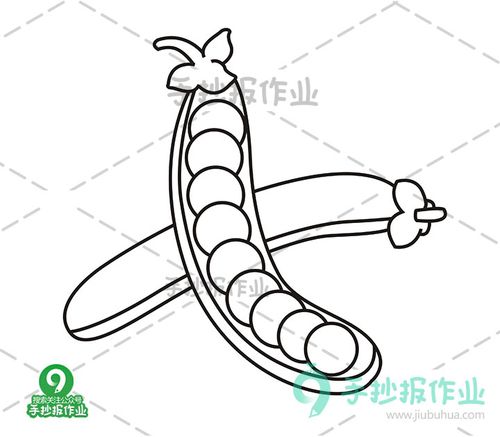 豌豆简笔画