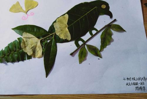 巧手绘秋——天骄六年级天华1班树叶画