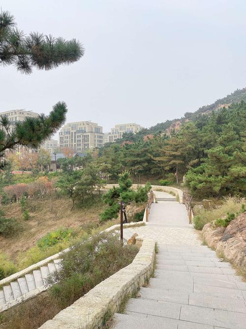 周日一家人游老虎山公园(2)