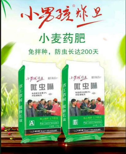 小麦炸旦药肥你知多少?