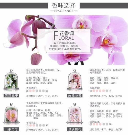 香度chando 丝印藤条圆瓶摆件-沁香竹 无火香薰 自带80ml家居香薰精油