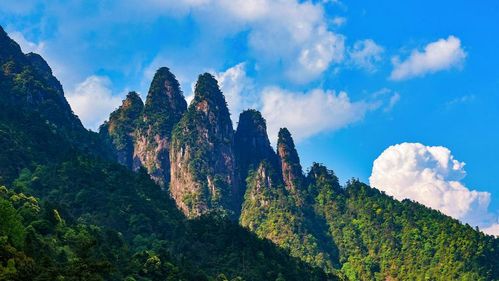 江西上犹县特邀镜画家盛焰团队 取材上犹绘新画 献礼