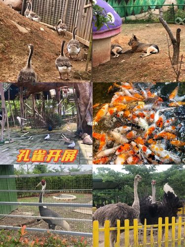 绍兴亲子游|镜湖湿地儿童乐园_秋千_草坪_景点_儿童乐园_游乐园_亲子