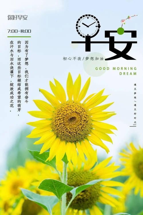 周末早安心语正能量暖心语录句子朋友圈早上好图片带字正能量