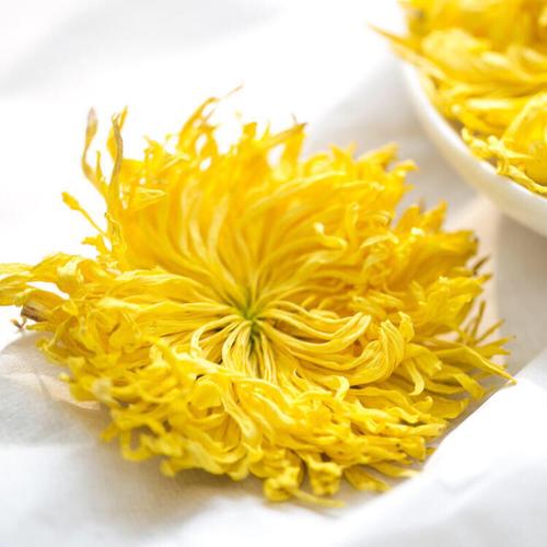 金丝皇菊的功效与作用(你不知道的营养价值)