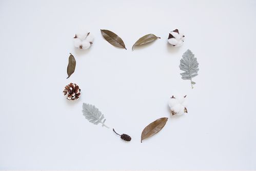 简单清新淡雅的图片 简约唯美的背景图片欣赏