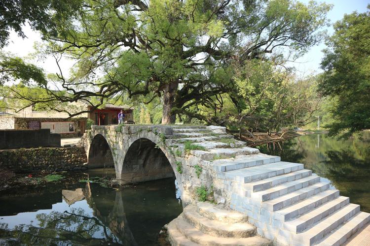 2020年乡村游记(二)～大圩寻古桥