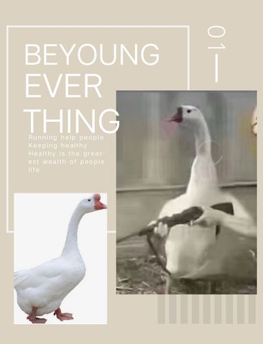 曲项向天歌.铁锅炖大鹅,大鹅怎么说.