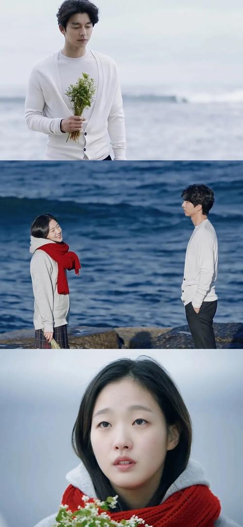 爱了很多年的孤独又灿烂的神鬼怪内有壁纸