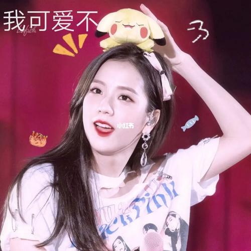 jisoo表情包[二十]_表情包_jisoo_素材_表情包
