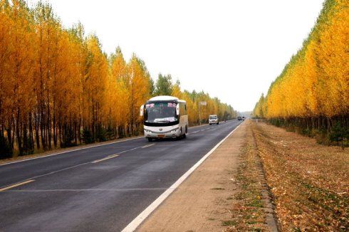 金秋中的201国道